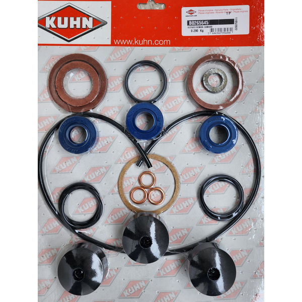 11484 1 8317 REPARO BOMBA GAMA83 - B0265645 KUHN .jpg